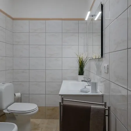 Historic Center Modern With Terraces Apartment *